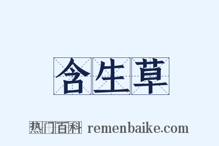 含生草是什么意思的图片